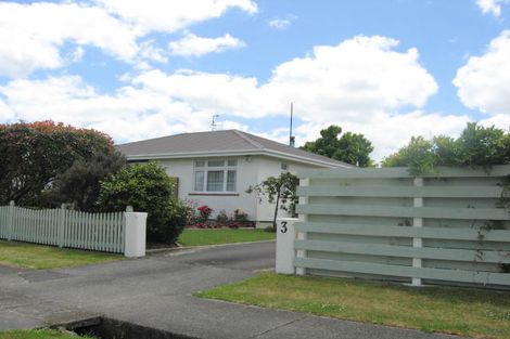 Photo of property in 3 Trewin Street, Feilding, 4702