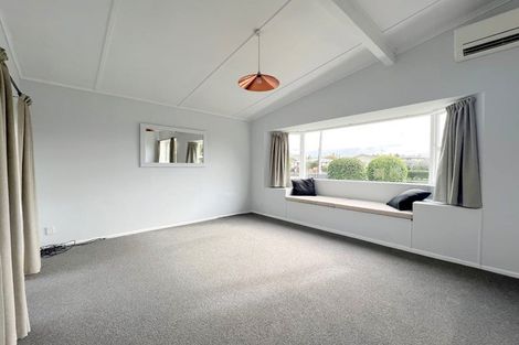 Photo of property in 41 Fitzroy Avenue, Fitzroy, Hamilton, 3206