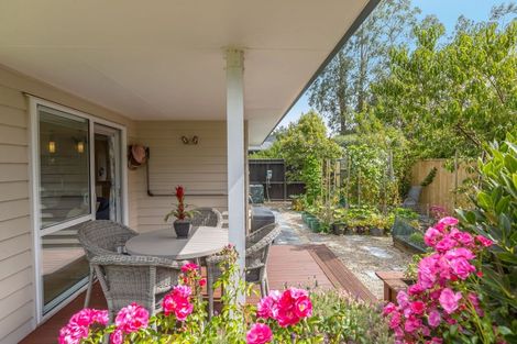 Photo of property in 28a Cotter Street, Greytown, 5712