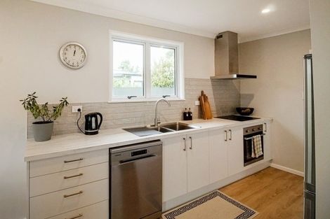 Photo of property in 101 Mulgrave Street, Ashhurst, 4810