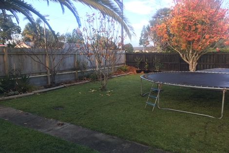 Photo of property in 381 Thames Street, Morrinsville, 3300