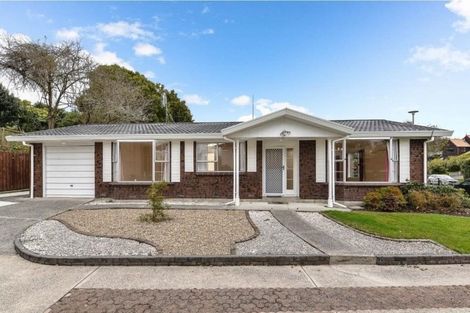 Photo of property in 19 Perindale Drive, Chartwell, Hamilton, 3210