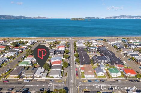 Photo of property in 20 Adelaide Street, Petone, Lower Hutt, 5012