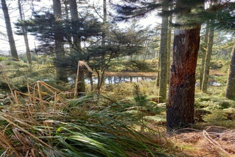 Photo of property in 496 Wilton Collieries Road, Glen Massey, 3794