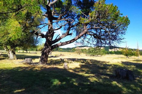 Photo of property in 16 Seymour Street, Hawarden, 7385