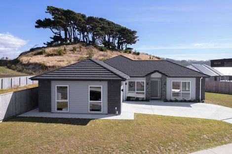 Photo of property in 65 Queen Charlotte Drive, Aotea, Porirua, 5024