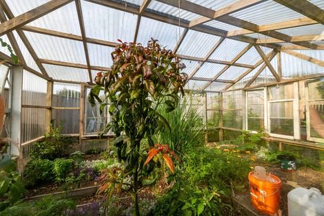 Photo of property in 126 Miranda Street, Stratford, 4332