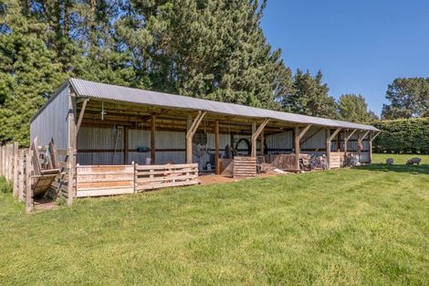 Photo of property in 238 Beach Road East, Elgin, Ashburton, 7777