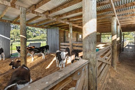 Photo of property in 165 School Road, Manawaru, Te Aroha, 3391