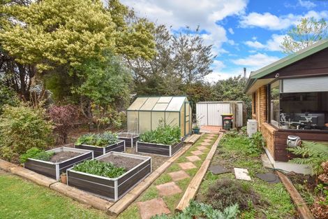 Photo of property in 41 Lynas Street, Outram, 9019