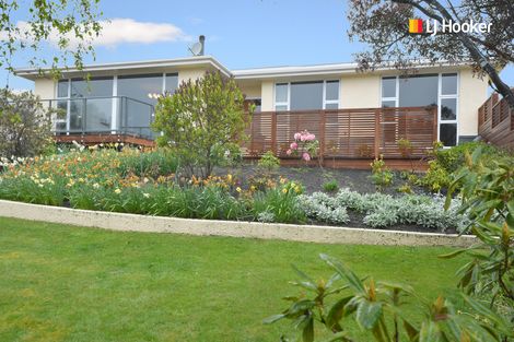 Photo of property in 14 Kenilworth Street, Waverley, Dunedin, 9013