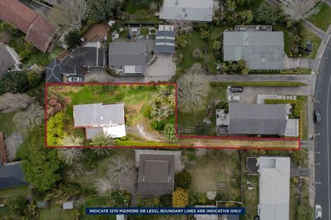 Photo of property in 115 Matipo Road, Mairangi Bay, Auckland, 0630