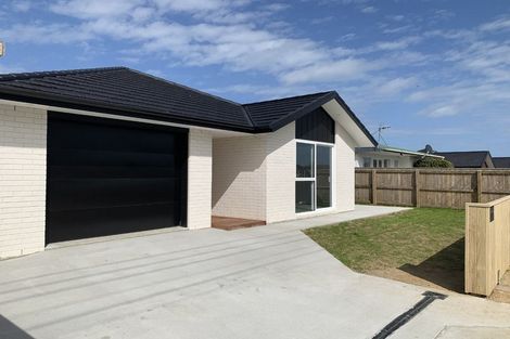 Photo of property in 40 Power Street, Levin, 5510
