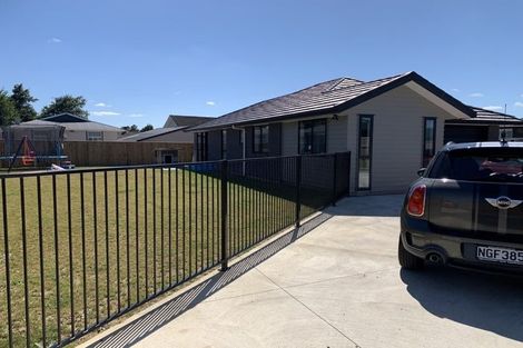 Photo of property in 68 Hinemoa Street, Levin, 5510