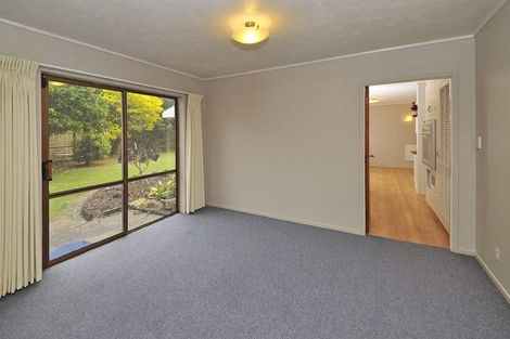 Photo of property in 101 Elliot Street, Pahurehure, Papakura, 2113