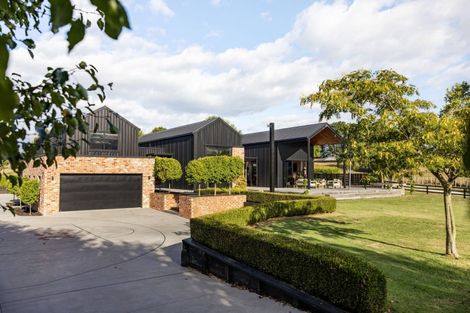 Photo of property in 205b Dalton Avenue, Te Awamutu, 3800