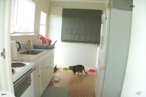 Photo of property in 19a Nutsey Avenue, Northcote, Auckland, 0627