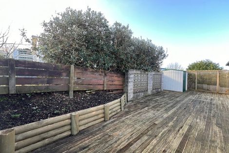 Photo of property in 29 Alison Street, Hamilton Lake, Hamilton, 3204