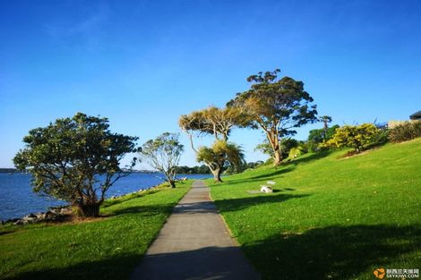 Photo of property in 4 Bramley Drive, Farm Cove, Auckland, 2012