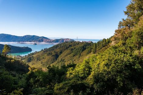 Photo of property in 2464 Port Underwood Road, Port Underwood, Picton, 7281