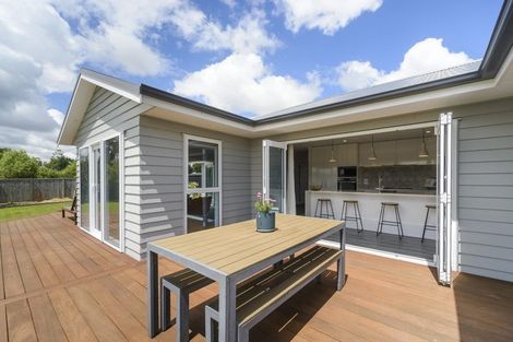 Photo of property in 821 Stoney Creek Road, Bunnythorpe, Palmerston North, 4478