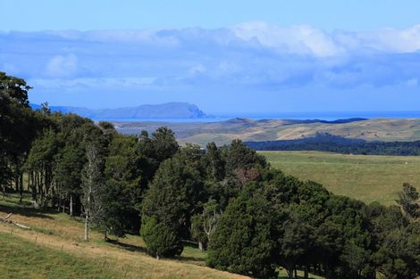 Photo of property in 110 Newton Road, Raglan, Te Mata, 3894