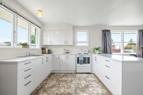 Photo of property in 19 Hale Street, Blenheim, 7201