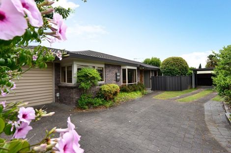 Photo of property in 47f Naylor Street, Hamilton East, Hamilton, 3216