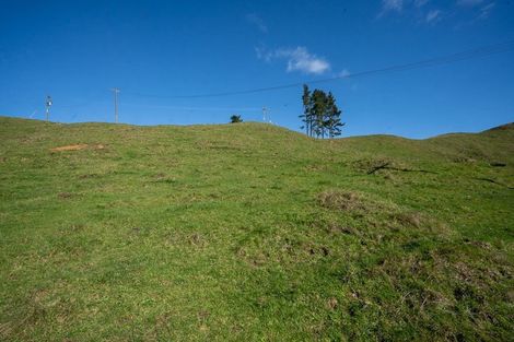 Photo of property in 128c Otonga Valley Road, Raglan, 3295