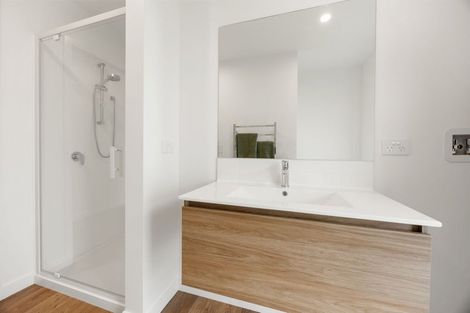 Photo of property in 19a Seifert Street, Forest Lake, Hamilton, 3200