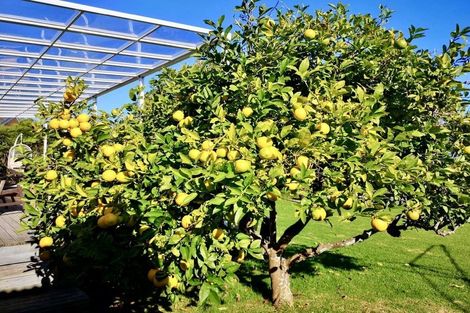 Photo of property in 121 Muir Avenue, Mangere Bridge, Auckland, 2022