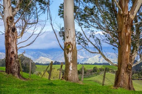 Photo of property in 48 Norsewood Ormondville Road, Norsewood, 4974