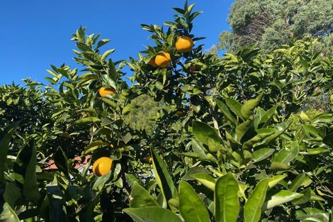 Photo of property in 49 Vista Road, Ohau, Levin, 5570