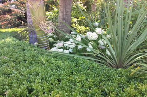 Photo of property in 88 Te Pua Road, Kaikohe, 0472