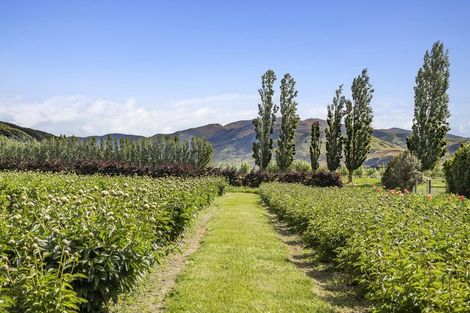 Photo of property in 42d Gladsmuir Road, Queensberry, Cromwell, 9383