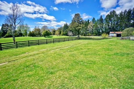 Photo of property in 1717 Te Matai Road, Te Ranga, Te Puke, 3188