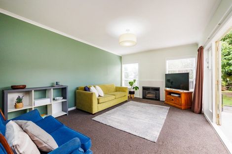 Photo of property in 17 Manawatu Street, Hokowhitu, Palmerston North, 4410