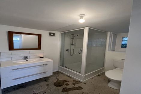 Photo of property in 17 Highland Avenue, Titirangi, Auckland, 0604