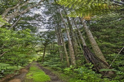 Photo of property in 31 Waitorupai Way, Matapouri, Whangarei, 0173