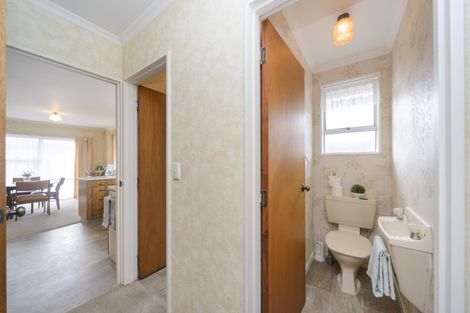 Photo of property in 117 Roy Street, Palmerston North, 4410