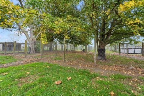 Photo of property in 147 Puketaha Road, Puketaha, Hamilton, 3281