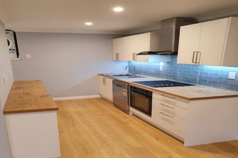 Photo of property in 52 Konini Road, Hataitai, Wellington, 6021