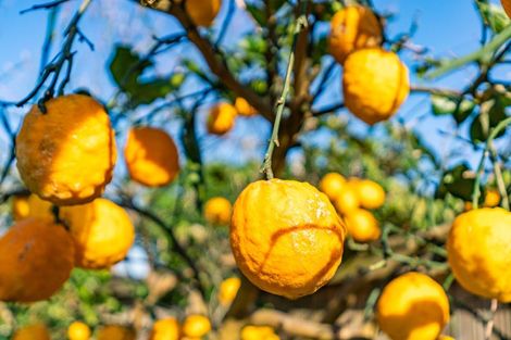 Photo of property in 14 Kelly Street, Baylys Beach, Dargaville, 0377