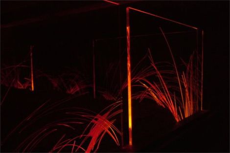 Photo of property in 31 Natusch Road, Belmont, Lower Hutt, 5010