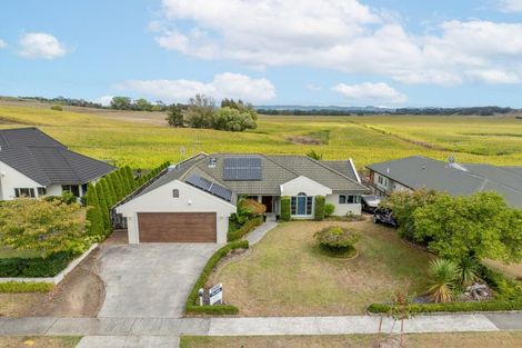 Photo of property in 288 Grandview Road, Western Heights, Hamilton, 3200