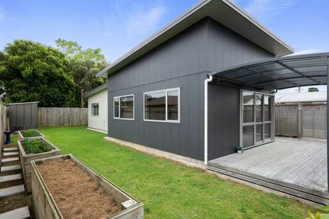 Photo of property in 52a Mako Mako Road, Levin, 5510