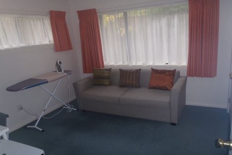 Photo of property in 6 Roy Maloney Drive, Henderson, Auckland, 0612