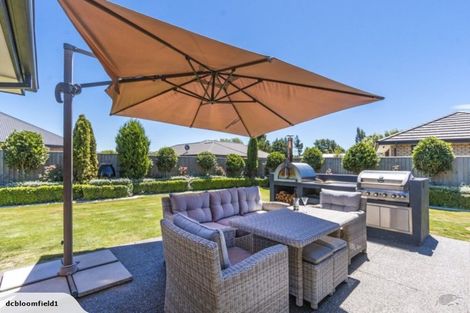 Photo of property in 11 Larne Place, Belfast, Christchurch, 8051