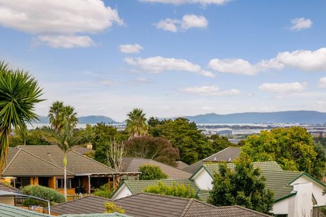 Photo of property in 21 Frederick Reece Drive, The Gardens, Auckland, 2105