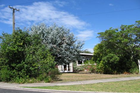 Photo of property in 19 Ringwood Street, Torbay, Auckland, 0630